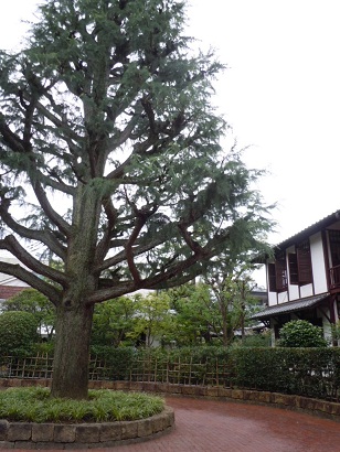 c0101913_14182430.jpg