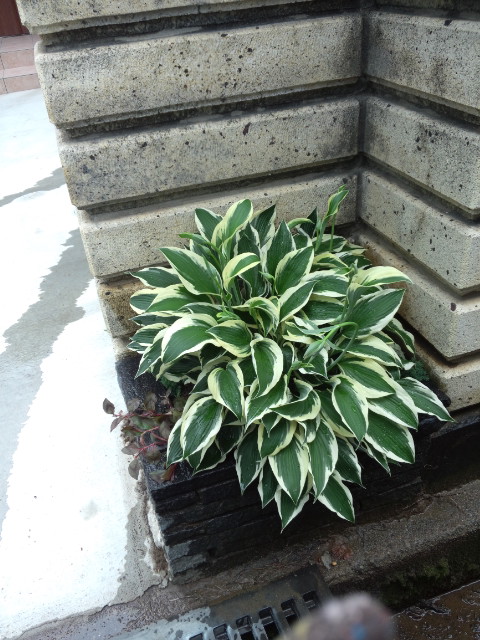f0226713_20931.jpg