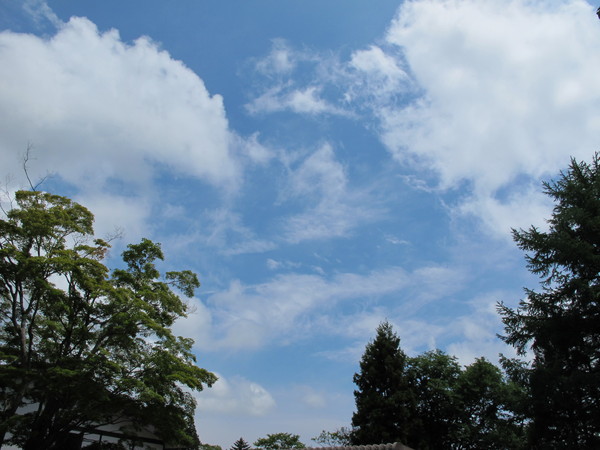 しまんりょ 初夏のお寺コンサート 無事おわりました。_e0239118_1253247.jpg