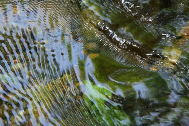 e0242721_14341377.jpg