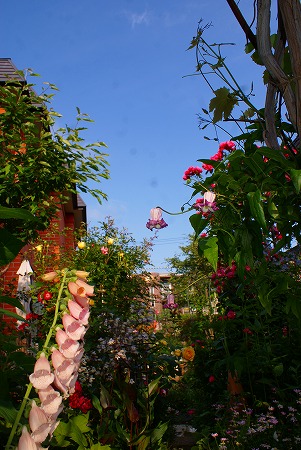 f0170524_8514167.jpg