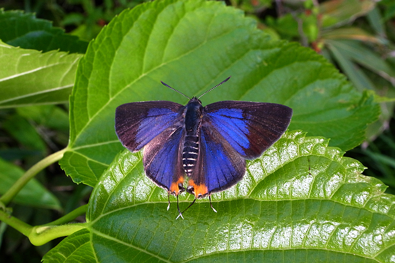d0054625_2319514.jpg