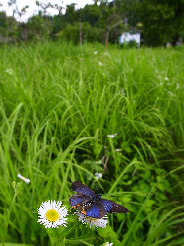 d0054625_23213030.jpg