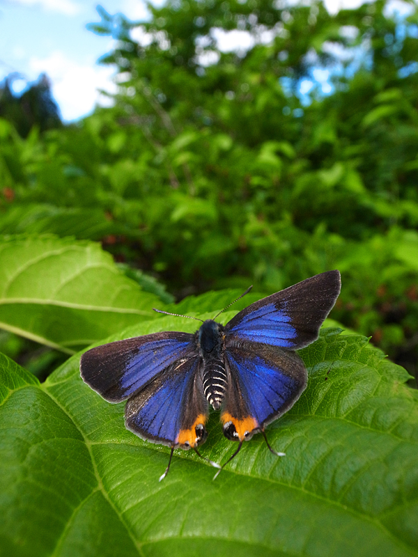d0054625_23214477.jpg