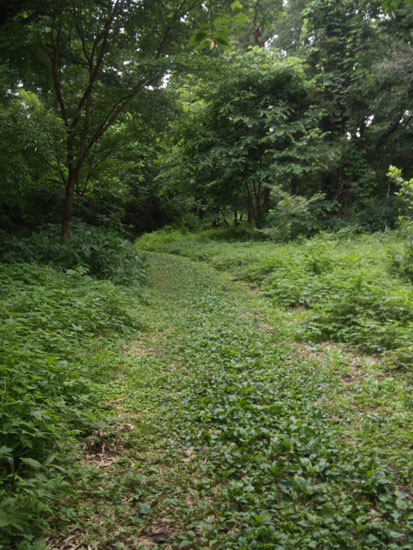 e0071225_2155457.jpg