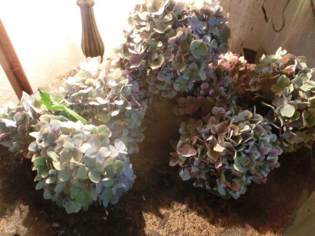 c0102228_22263814.jpg