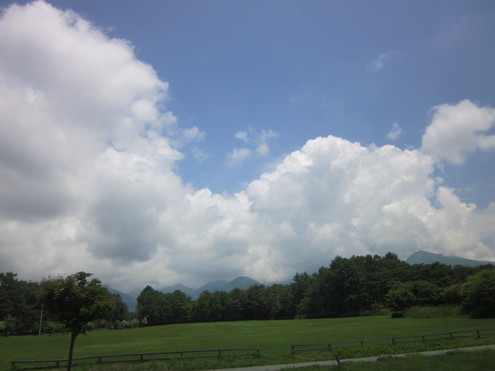 a0291132_1413417.jpg