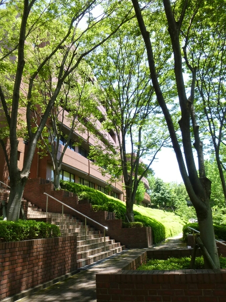 京都最後の土曜日_c0113733_042413.jpg