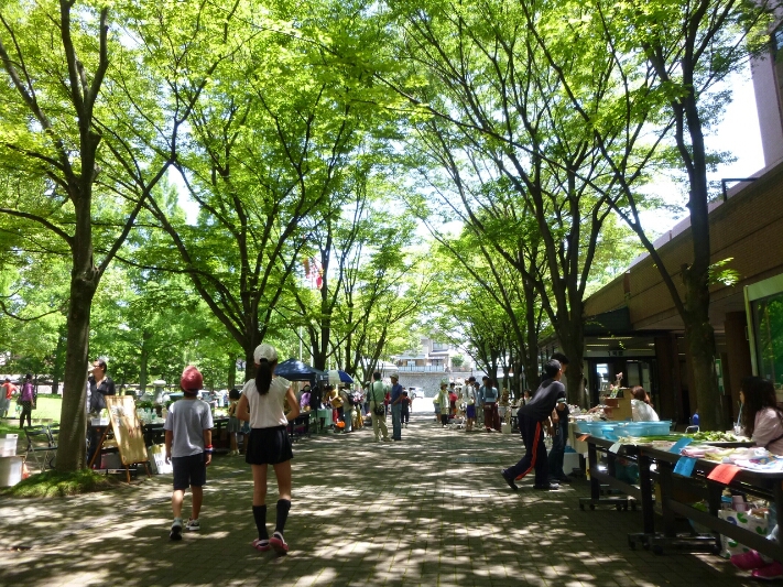 京都最後の土曜日_c0113733_0433360.jpg