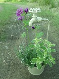 f0167635_6343191.jpg