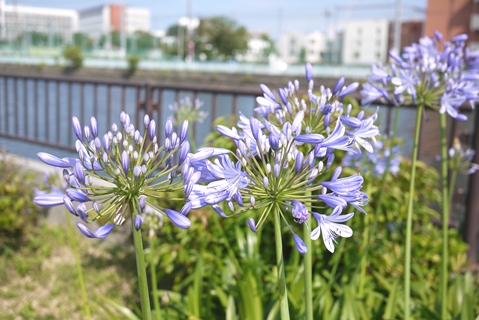 f0232136_22294846.jpg
