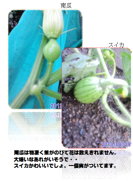 e0255638_1637386.png