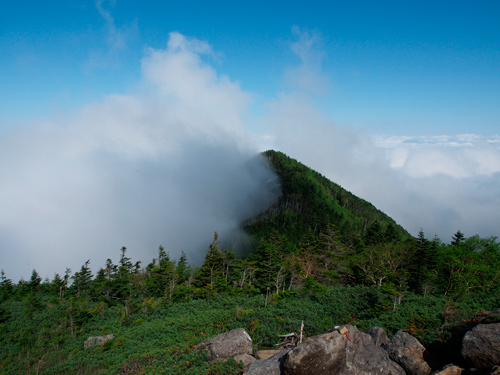 f0209740_1037539.jpg
