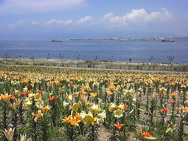 c0292342_228770.jpg