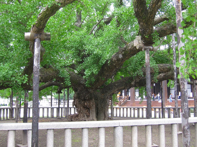 堂々たる構えの【西本願寺】には歴史がある_e0237645_23392242.jpg