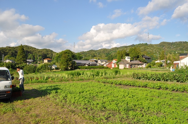d0177849_14251567.jpg