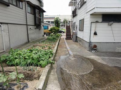 消雪用井戸の掃除 _a0084753_16112634.jpg