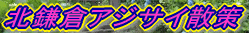 c0119160_17543956.gif