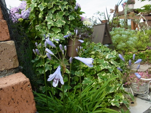 b0194267_12112913.jpg