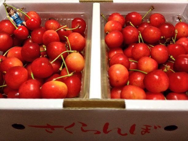 カラフルビタミン☆_e0170671_22583719.jpg