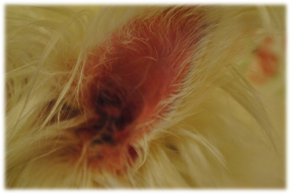 b0242873_042536.png