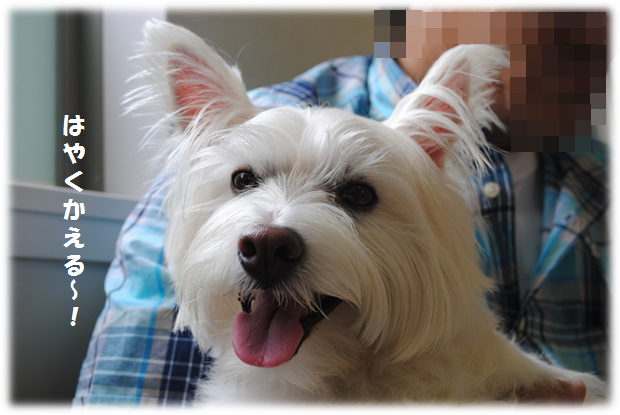 b0242873_0471441.png