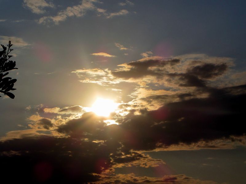 b0202185_5607.jpg