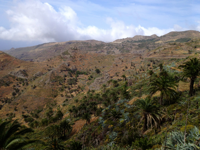 2012/05/13 La Gomera day2 -El Contadero~El Cedro-_b0220886_0251819.jpg