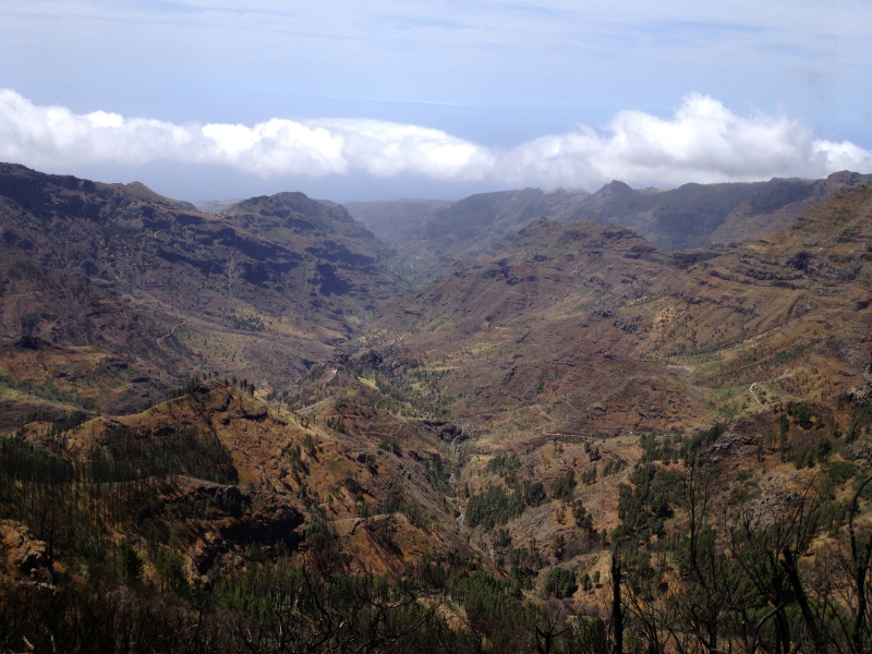 2012/05/13 La Gomera day2 -El Contadero~El Cedro-_b0220886_0324844.jpg