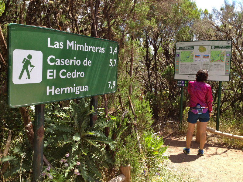 2012/05/13 La Gomera day2 -El Contadero~El Cedro-_b0220886_033373.jpg