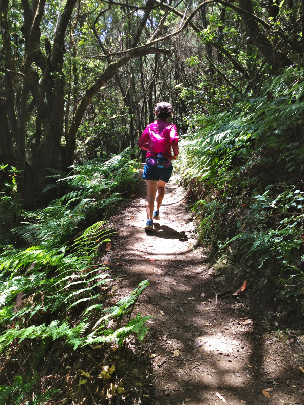 2012/05/13 La Gomera day2 -El Contadero~El Cedro-_b0220886_0515320.jpg