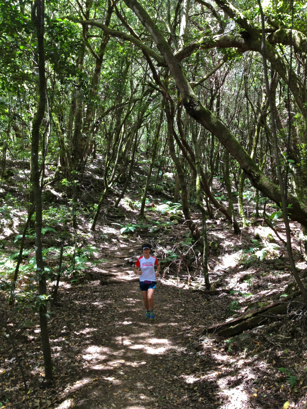 2012/05/13 La Gomera day2 -El Contadero~El Cedro-_b0220886_0521610.jpg