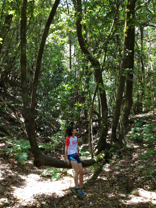 2012/05/13 La Gomera day2 -El Contadero~El Cedro-_b0220886_0524034.jpg