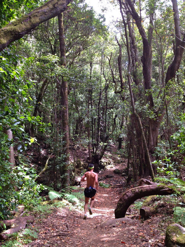 2012/05/13 La Gomera day2 -El Contadero~El Cedro-_b0220886_0543154.jpg