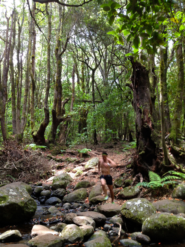 2012/05/13 La Gomera day2 -El Contadero~El Cedro-_b0220886_054599.jpg