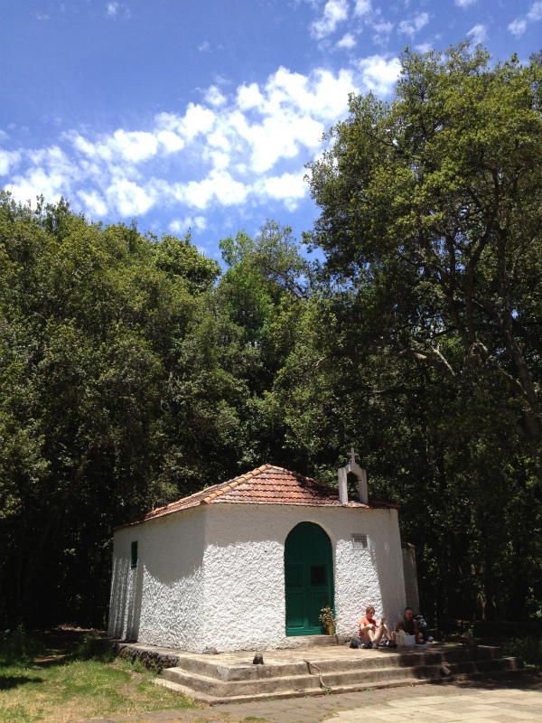 2012/05/13 La Gomera day2 -El Contadero~El Cedro-_b0220886_0594640.jpg