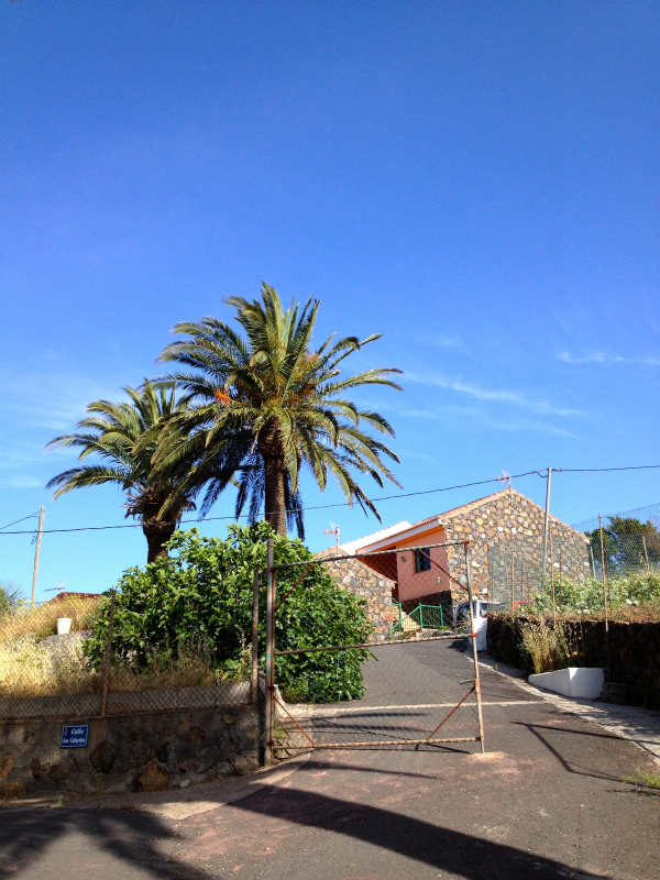 2012/05/13 La Gomera day2 -El Contadero~El Cedro-_b0220886_072837.jpg