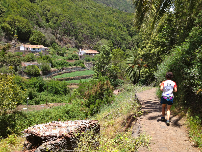 2012/05/13 La Gomera day2 -El Contadero~El Cedro-_b0220886_103581.jpg