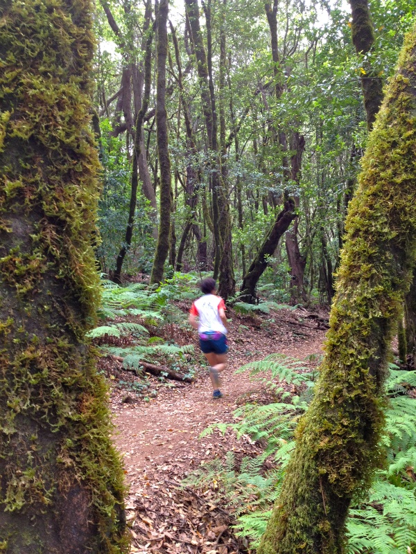 2012/05/13 La Gomera day2 -El Contadero~El Cedro-_b0220886_153142.jpg