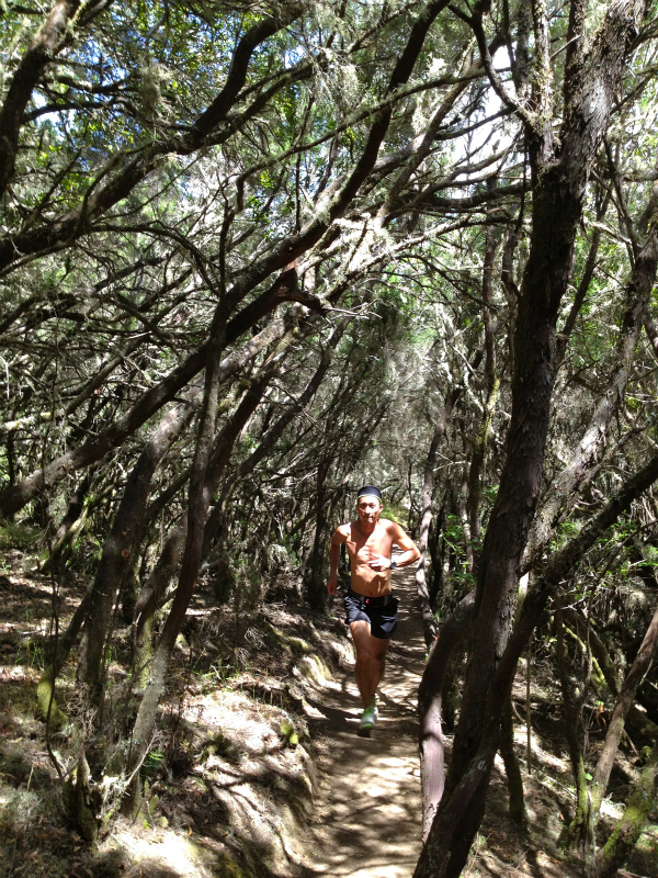 2012/05/13 La Gomera day2 -El Contadero~El Cedro-_b0220886_16325.jpg