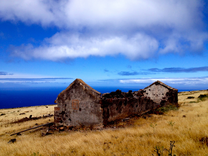 2012/05/15 La Gomera day4 -Mt. La Merica-_b0220886_16484770.jpg