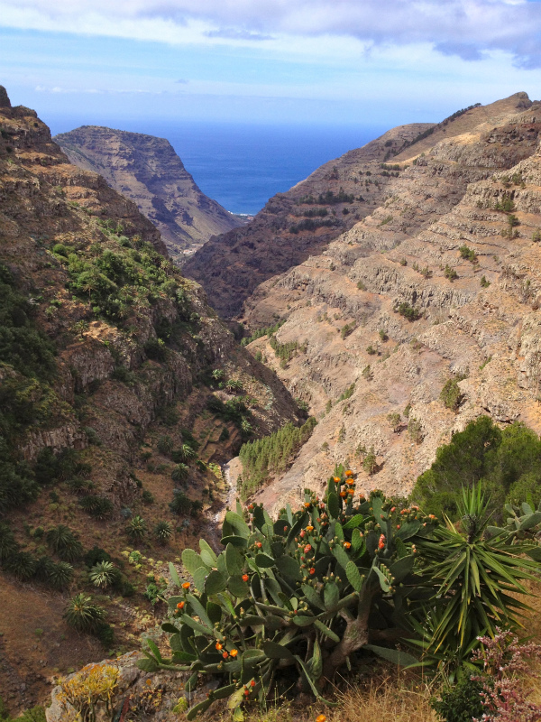 2012/05/15 La Gomera day4 -Mt. La Merica-_b0220886_17221824.jpg