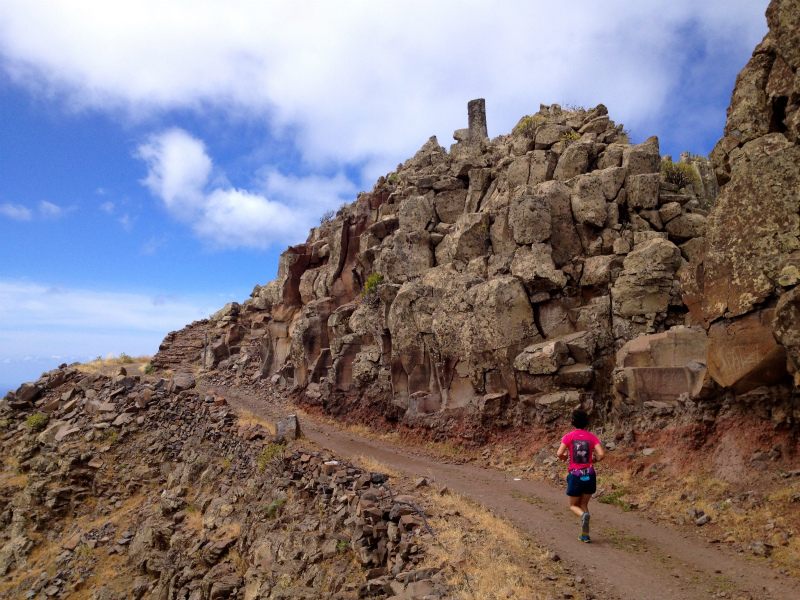 2012/05/15 La Gomera day4 -Mt. La Merica-_b0220886_17352147.jpg