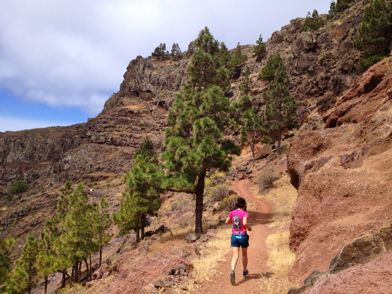 2012/05/15 La Gomera day4 -Mt. La Merica-_b0220886_1736737.jpg