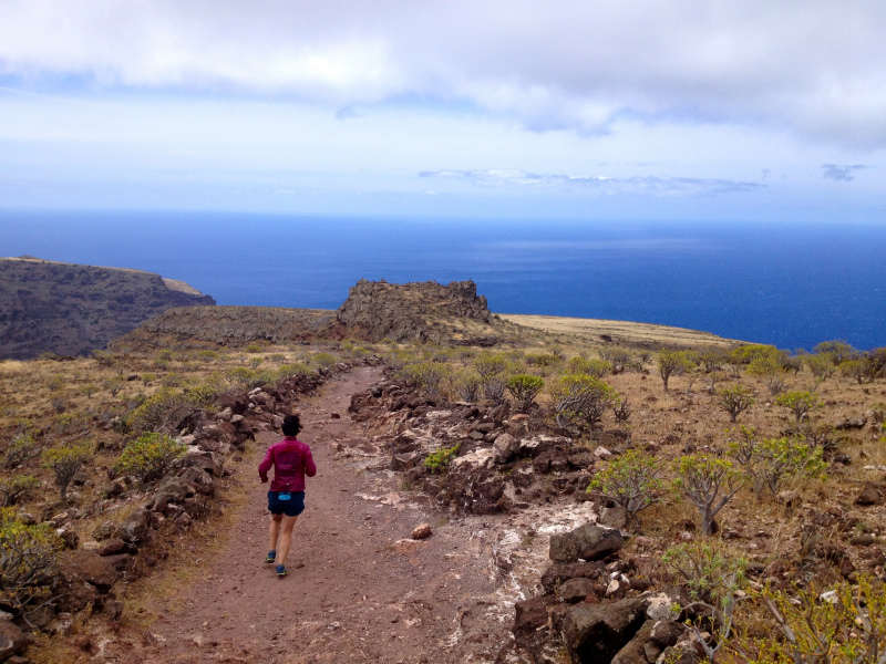 2012/05/15 La Gomera day4 -Mt. La Merica-_b0220886_17374750.jpg