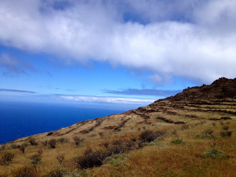 2012/05/15 La Gomera day4 -Mt. La Merica-_b0220886_17375832.jpg