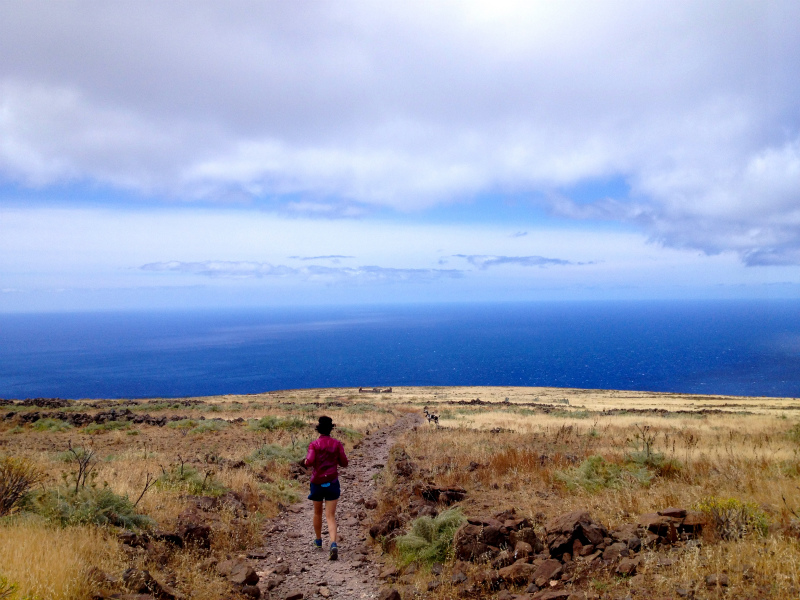 2012/05/15 La Gomera day4 -Mt. La Merica-_b0220886_17382863.jpg
