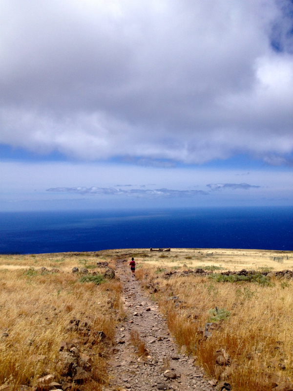 2012/05/15 La Gomera day4 -Mt. La Merica-_b0220886_1739018.jpg
