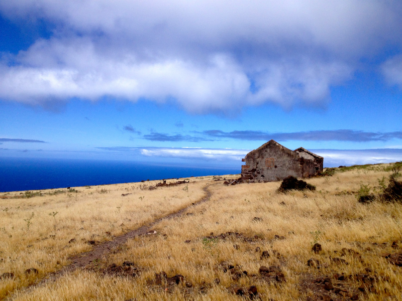 2012/05/15 La Gomera day4 -Mt. La Merica-_b0220886_17392627.jpg