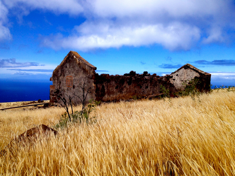 2012/05/15 La Gomera day4 -Mt. La Merica-_b0220886_1739409.jpg
